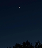 Filename=1098.jpg
Filesize=23KiB
Dimensions=1440x1440
Date added=Mar 09, 2025 1098.jpg