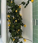 Filename=2031.jpg
Filesize=211KiB
Dimensions=1440x1800
Date added=Mar 09, 2025 2031.jpg