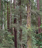 Filename=2043.jpg
Filesize=637KiB
Dimensions=1440x1800
Date added=Mar 09, 2025 2043.jpg